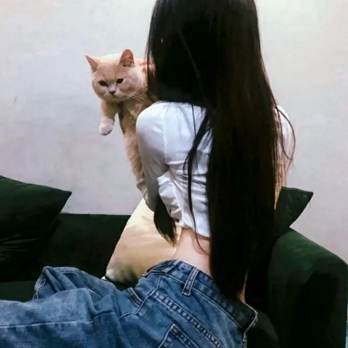 隆美尔传